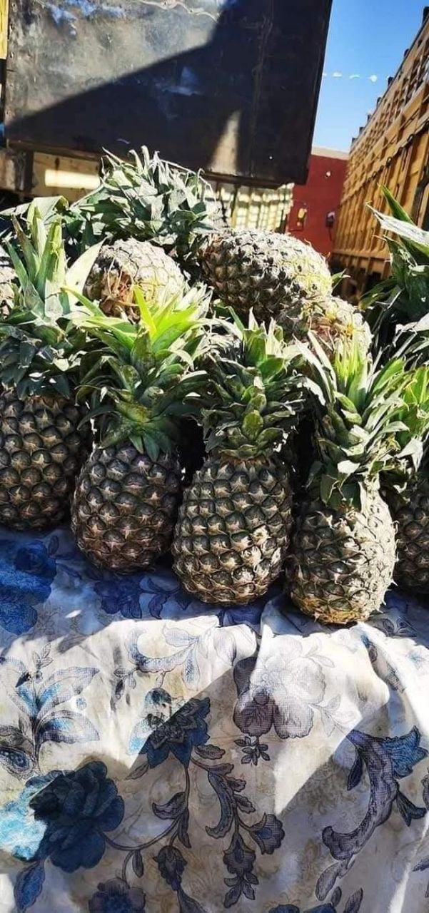 Pineapple coconuts